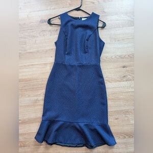 J Crew 00 polka dot midi dress
